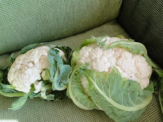 Coliflor al ajillo: receta express