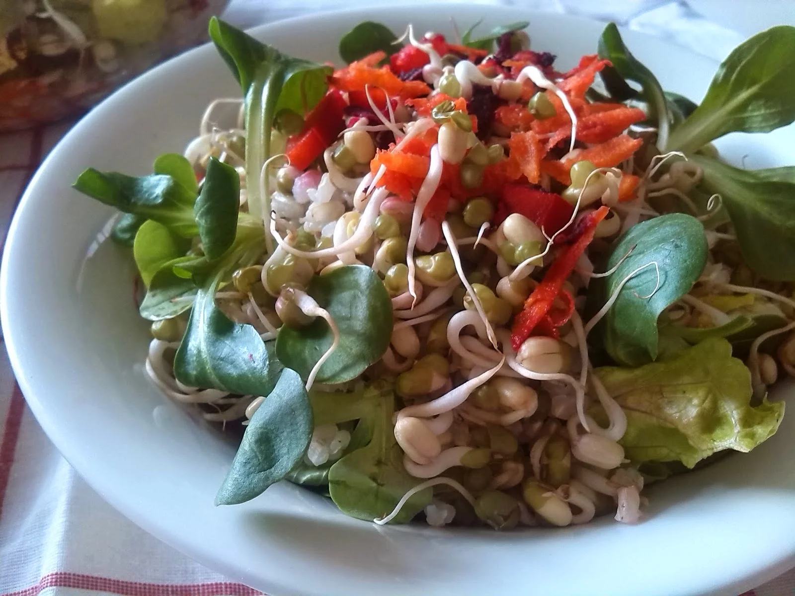 Ensalada de arroz integral y brotes de mungo del blog La Cocina del Colmado