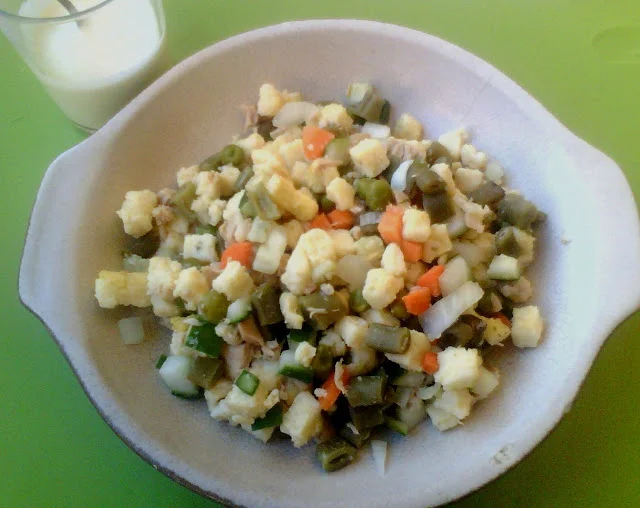 receta saludable anticáncer Dra. Odile Fernández alimentación medicinal blog