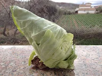 Sopa de invierno reconfortante con verduras