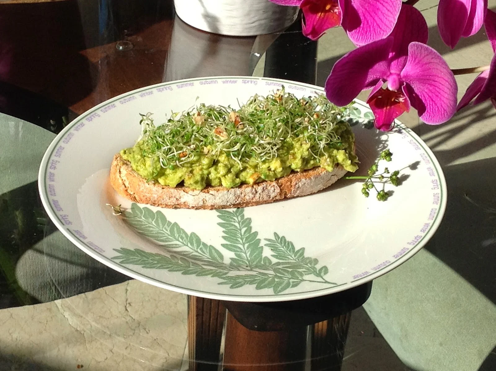 Tostada con aguacate y germinados por Diana