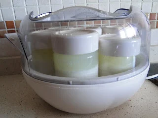 Yogur de cabra casero sin lactosa
